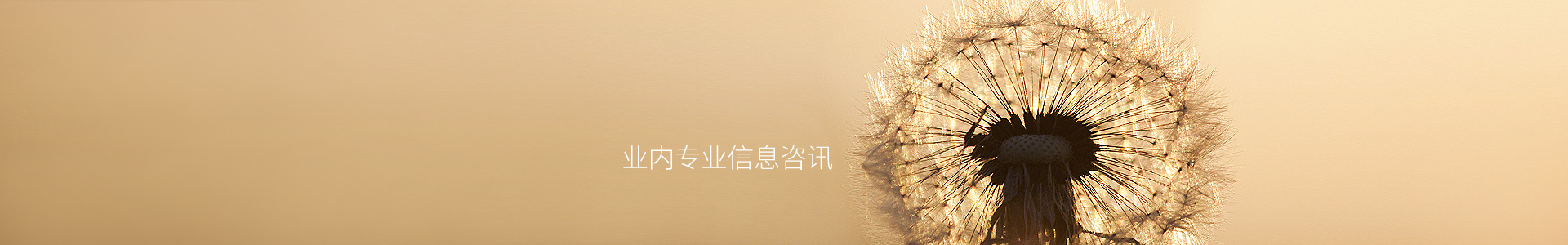 imtoken下载
