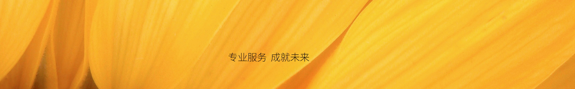 imtoken官网下载